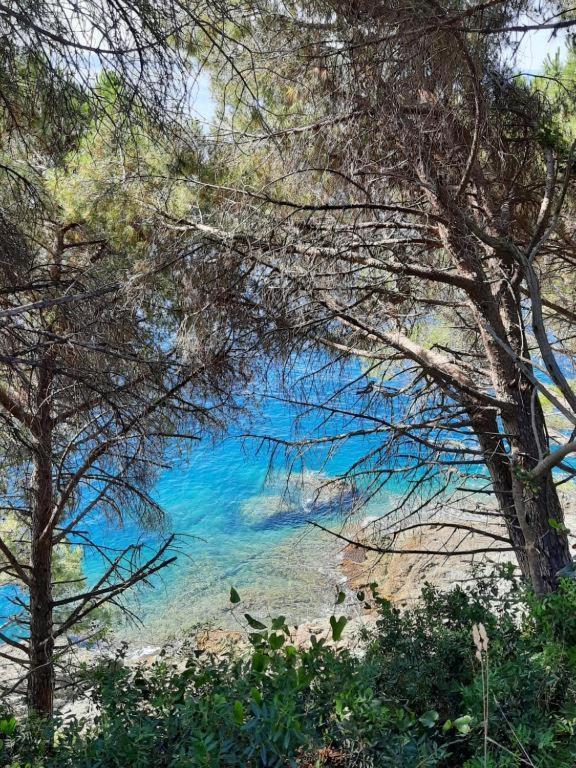 Appartamento Il Vicoletto La Spezia Dış mekan fotoğraf