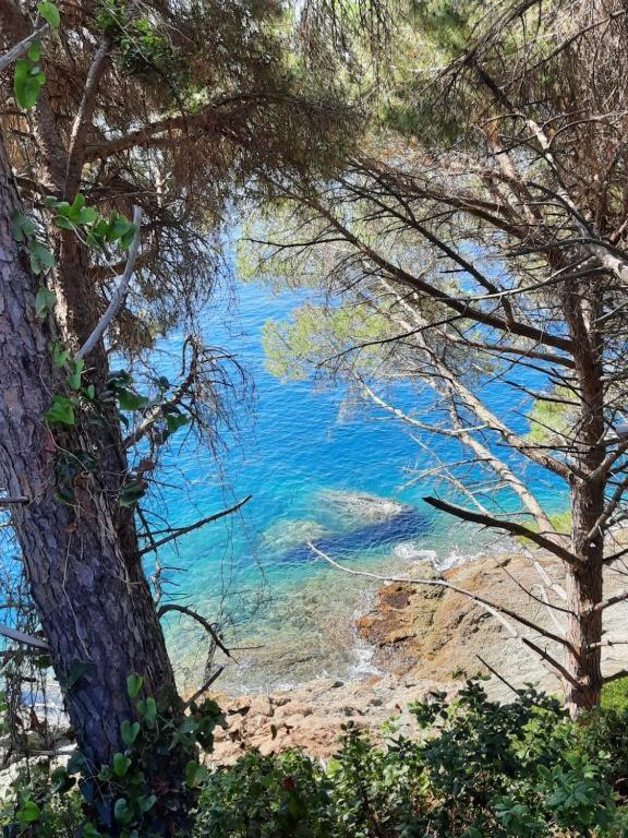 Appartamento Il Vicoletto La Spezia Dış mekan fotoğraf