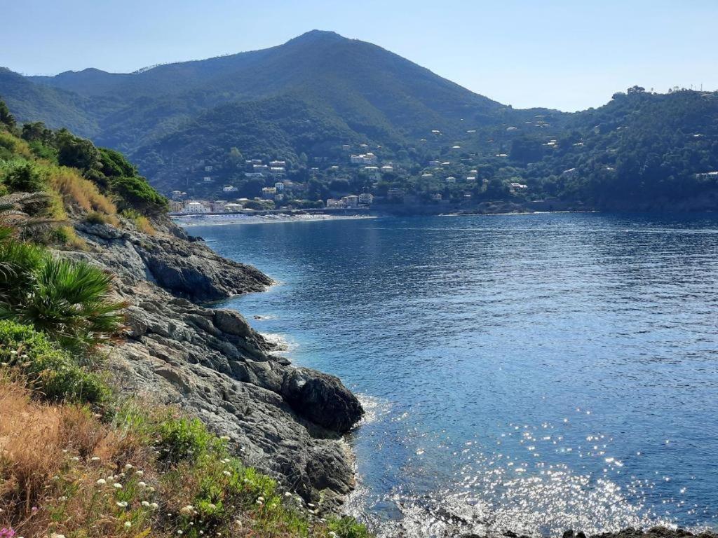 Appartamento Il Vicoletto La Spezia Dış mekan fotoğraf